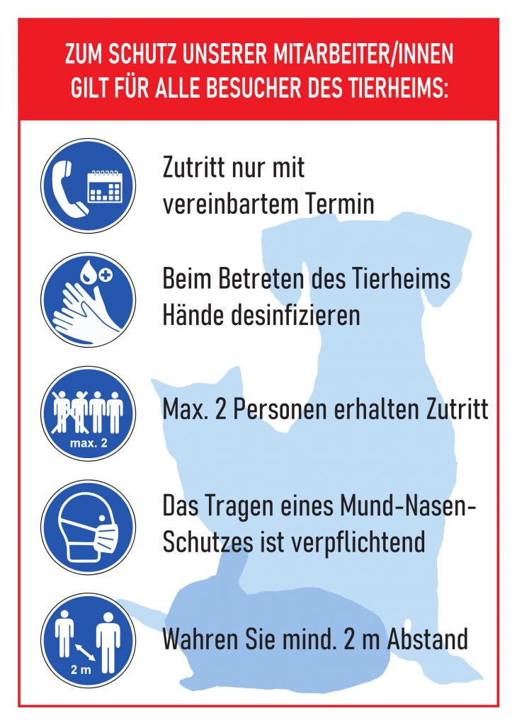 lux2 Tierheim Wurzen