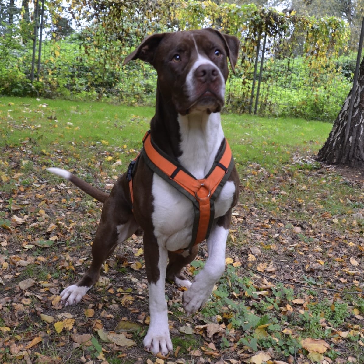 365c761b-054a-4c5e-b6de-9096afc73e92 2