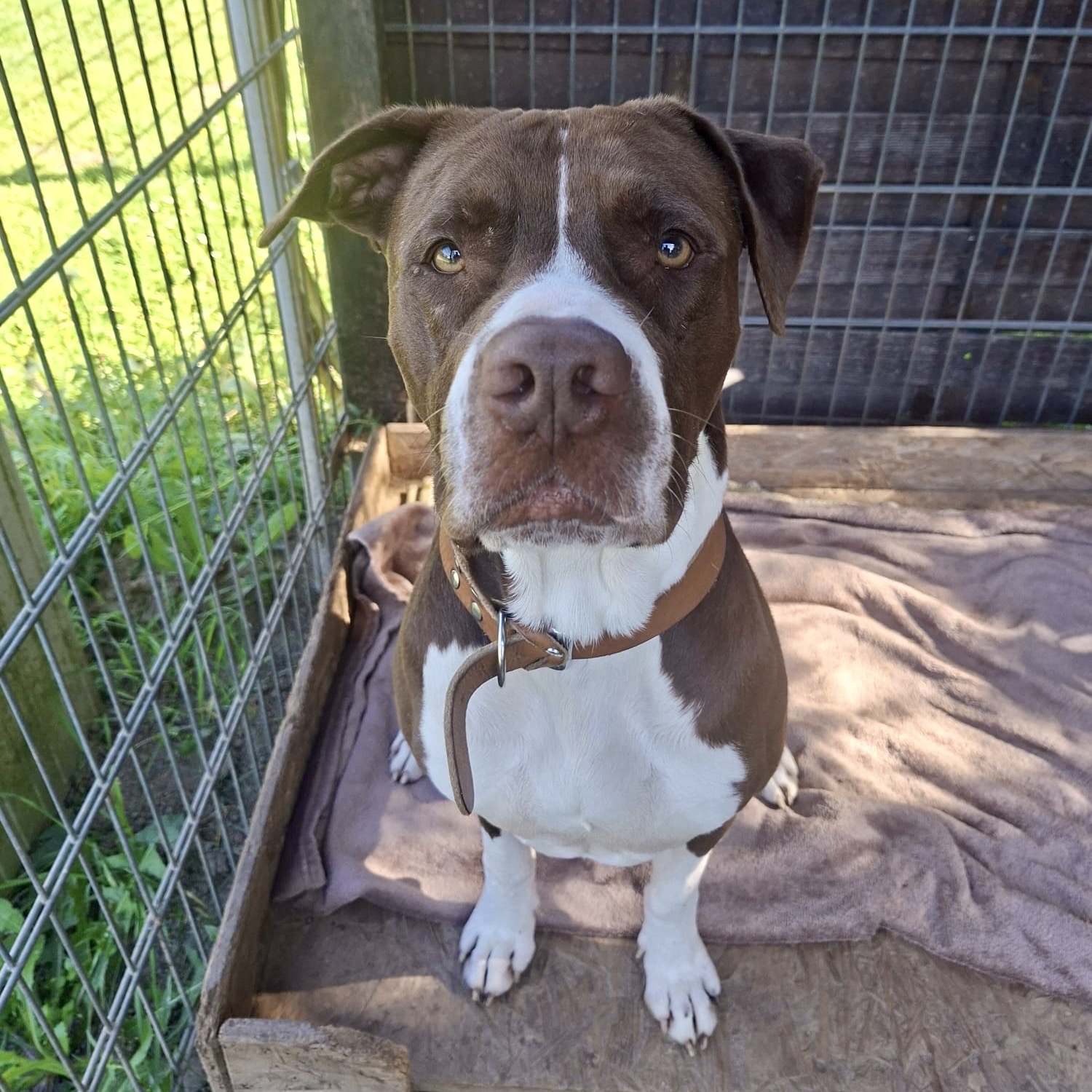 4de560f6-6d8d-46f8-a214-d1a11d05f4b5