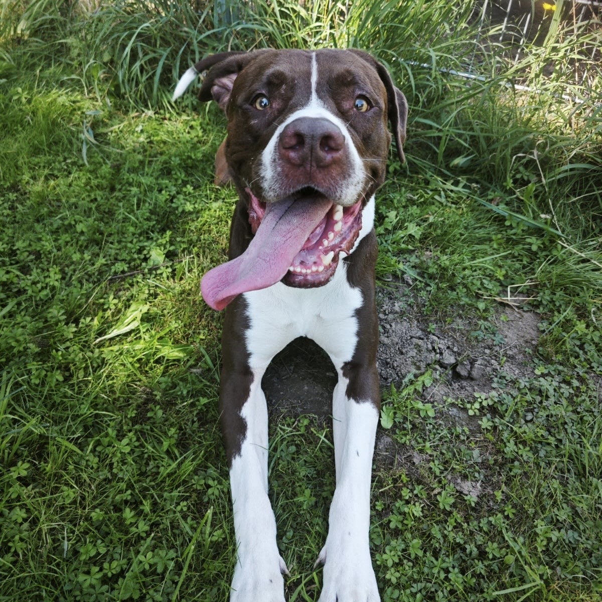 62ec6ec2-abdf-4403-9021-da050d974e1c