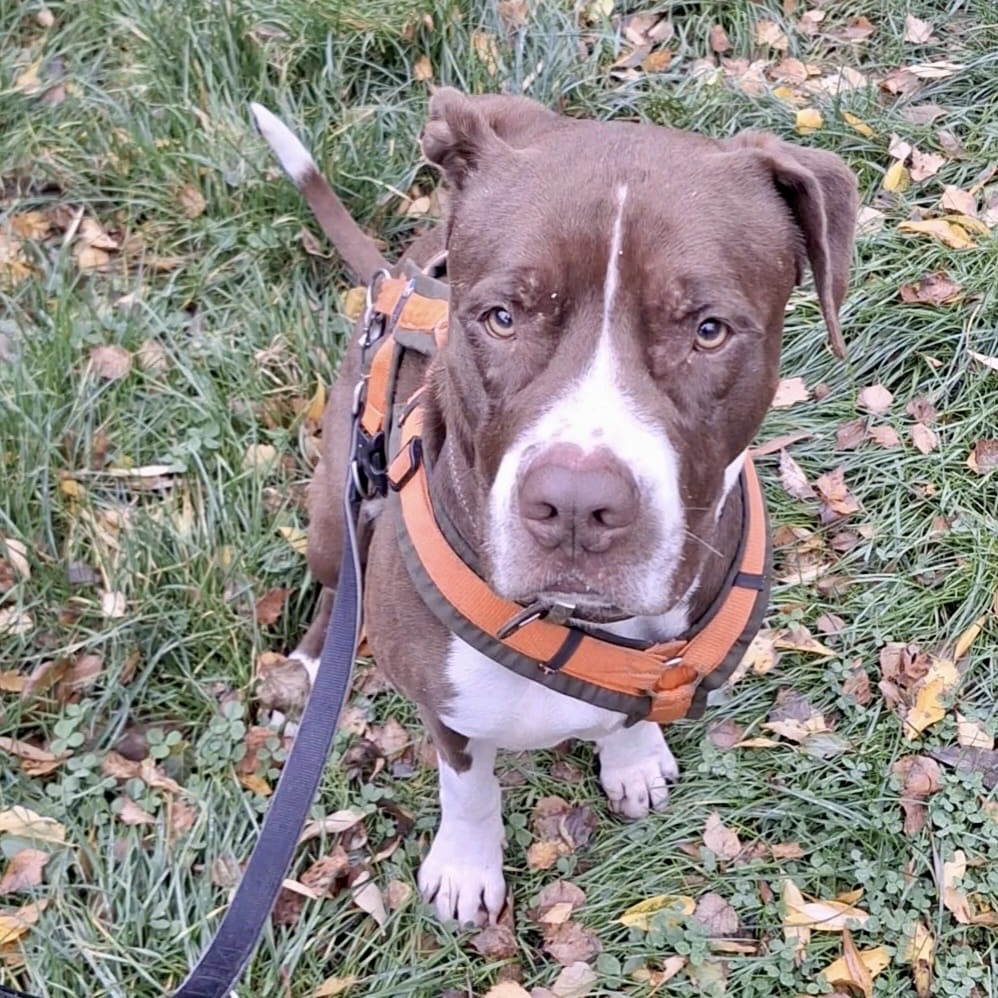 dc6747cb-1fee-40a2-8571-93279acda12d