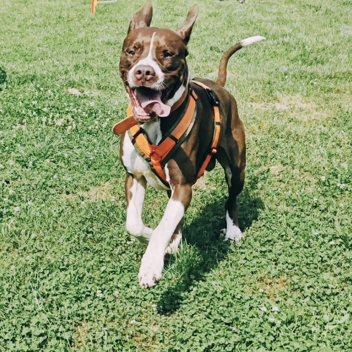 f35c9f6d-43cf-488b-ad4c-86bce29366ec