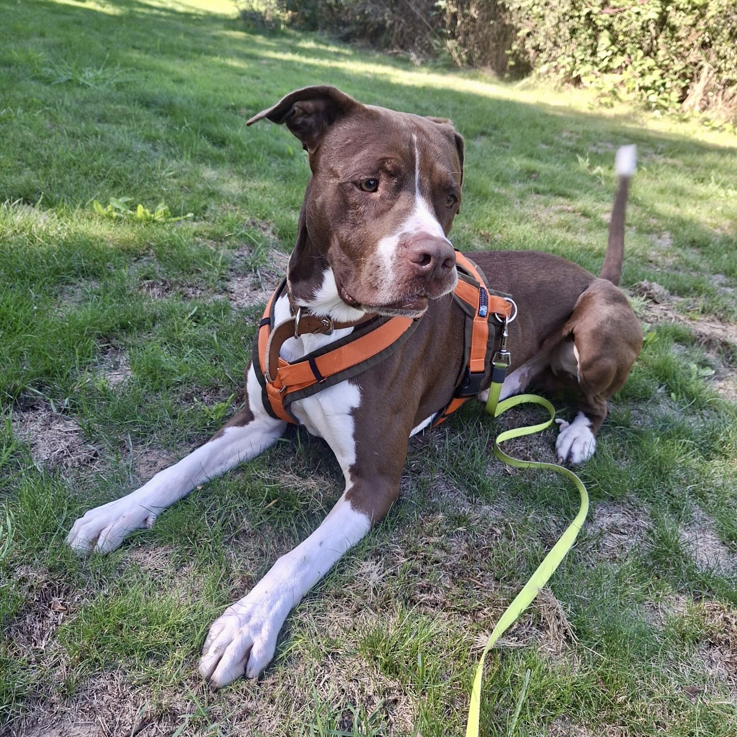 f8faa31b-9679-4e87-a4a8-6a80bae3bead