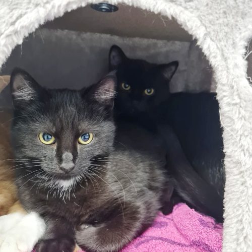 446ee758-349f-4820-92f7-96304f4ac373