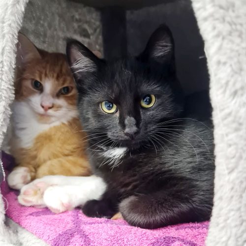 56f48d1c-d8db-45f6-81dc-2e1372606a79