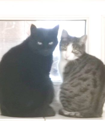 Beppa und Bagira