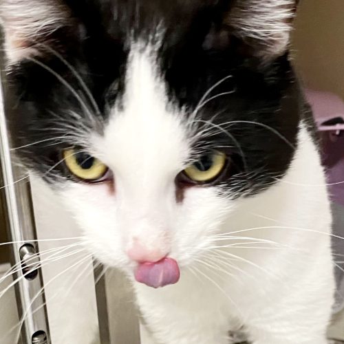 Max