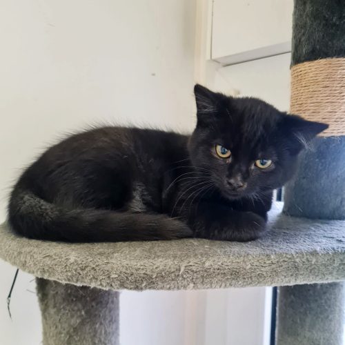 a91ebd44-bb28-41c2-a90b-a7d18581cbd3