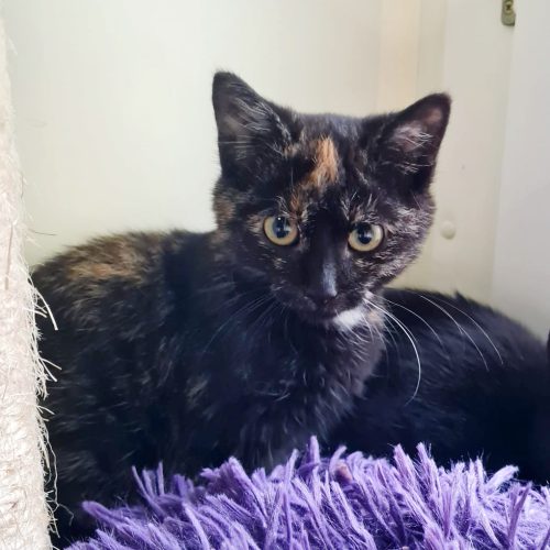 af2606da-21c4-4643-b7ed-5985403358a4